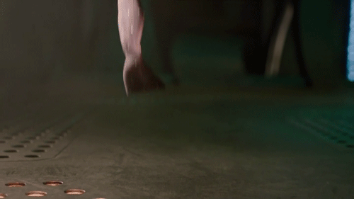 tumblr_myhati8Vvt1sncvkco1_500