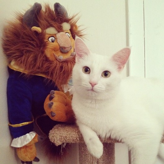 c9485dc240da11e3904822000a1fc3ed_8