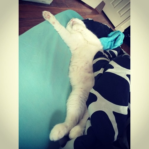 925548_1428047784138665_1614622700_n