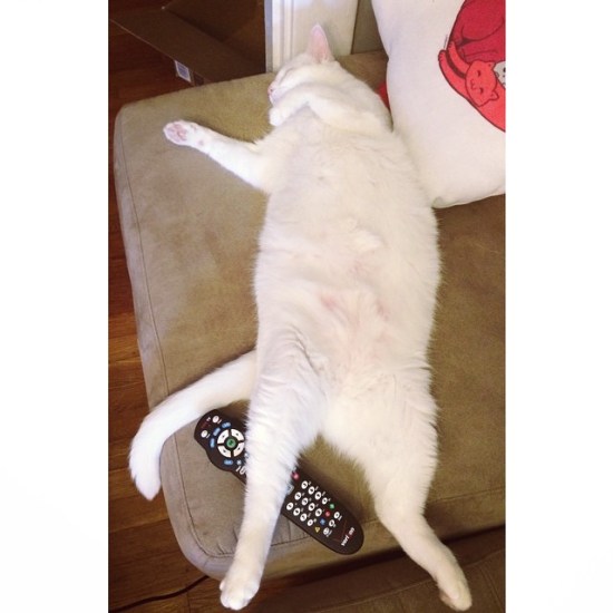 10693847_579557045507137_1682984568_n