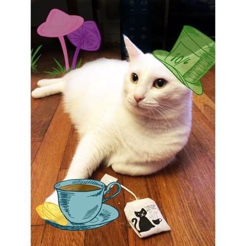 10986348_1559602084293905_1352021634_n